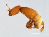  ( - HIS-PHI.M1-HN-9)  @13 [ ] CreativeCommons - Attribution (2008) Unspecified Centre for Biodiversity Genomics