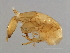  ( - HIS-M.0-YN-5)  @12 [ ] CreativeCommons - Attribution (2008) Unspecified Centre for Biodiversity Genomics
