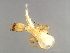  ( - HIS-M.0-YN-8)  @12 [ ] CreativeCommons - Attribution (2008) Unspecified Centre for Biodiversity Genomics