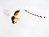  ( - FIS-PHI.2-HN-1)  @14 [ ] CreativeCommons - Attribution (2008) Unspecified Centre for Biodiversity Genomics