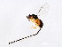  ( - FIS-PHI.2-HN-4)  @14 [ ] CreativeCommons - Attribution (2008) Unspecified Centre for Biodiversity Genomics