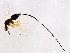  ( - FIS-PHI.3-HN-2)  @14 [ ] CreativeCommons - Attribution (2008) Unspecified Centre for Biodiversity Genomics