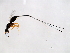  ( - FIS-PHI.3-HN-5)  @13 [ ] CreativeCommons - Attribution (2008) Unspecified Centre for Biodiversity Genomics