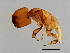  ( - FIS-M.2-HN-2)  @13 [ ] CreativeCommons - Attribution (2008) Unspecified Centre for Biodiversity Genomics