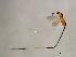  ( - AUR-PHI.1-HN-6)  @13 [ ] CreativeCommons - Attribution (2008) Unspecified Centre for Biodiversity Genomics