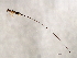  ( - AUR-SCA.1-HN-1)  @13 [ ] CreativeCommons - Attribution (2008) Unspecified Centre for Biodiversity Genomics