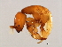  ( - AUR-M.2-HN-3)  @13 [ ] CreativeCommons - Attribution (2008) Unspecified Centre for Biodiversity Genomics