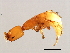  ( - AUR-M.2-HN-5)  @13 [ ] CreativeCommons - Attribution (2008) Unspecified Centre for Biodiversity Genomics