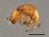  ( - AUR-M.2-HN-6)  @13 [ ] CreativeCommons - Attribution (2008) Unspecified Centre for Biodiversity Genomics