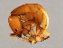  ( - AUR-M.2-HN-7)  @13 [ ] CreativeCommons - Attribution (2008) Unspecified Centre for Biodiversity Genomics
