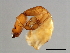  ( - AUR-M.3-HN-2)  @13 [ ] CreativeCommons - Attribution (2008) Unspecified Centre for Biodiversity Genomics