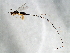  ( - AUR.F-PEU.1-HN-4)  @11 [ ] CreativeCommons - Attribution (2008) Unspecified Centre for Biodiversity Genomics
