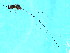  ( - AUR.F-PEU.1-HN-6)  @12 [ ] CreativeCommons - Attribution (2008) Unspecified Centre for Biodiversity Genomics