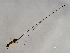  ( - VAR-SCA.1-HN-7)  @13 [ ] CreativeCommons - Attribution (2008) Unspecified Centre for Biodiversity Genomics