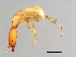  ( - VAR-M.3-HN-1)  @14 [ ] CreativeCommons - Attribution (2008) Unspecified Centre for Biodiversity Genomics