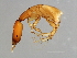  ( - VAR-M.3-HN-5)  @13 [ ] CreativeCommons - Attribution (2008) Unspecified Centre for Biodiversity Genomics