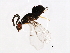  ( - SAR-WIE.1-HN-8)  @14 [ ] CreativeCommons - Attribution (2008) Unspecified Centre for Biodiversity Genomics