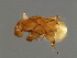  ( - SAR-M.0-HN-1)  @13 [ ] CreativeCommons - Attribution (2008) Unspecified Centre for Biodiversity Genomics