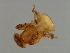  ( - SAR-M.0-HN-2)  @12 [ ] CreativeCommons - Attribution (2008) Unspecified Centre for Biodiversity Genomics