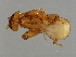 ( - SAR-M.0-HN-3)  @13 [ ] CreativeCommons - Attribution (2008) Unspecified Centre for Biodiversity Genomics