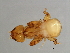  ( - SAR-M.0-HN-5)  @13 [ ] CreativeCommons - Attribution (2008) Unspecified Centre for Biodiversity Genomics