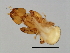  ( - SAR-M.0-HN-6)  @12 [ ] CreativeCommons - Attribution (2008) Unspecified Centre for Biodiversity Genomics