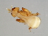  ( - SAR-M.0-HN-7)  @12 [ ] CreativeCommons - Attribution (2008) Unspecified Centre for Biodiversity Genomics