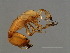  ( - SAR-M.1-HN-1)  @13 [ ] CreativeCommons - Attribution (2008) Unspecified Centre for Biodiversity Genomics