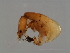  ( - SAR-M.1-HN-3)  @13 [ ] CreativeCommons - Attribution (2008) Unspecified Centre for Biodiversity Genomics