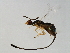  ( - HAR-SCA.1-HN-4)  @14 [ ] CreativeCommons - Attribution (2008) Unspecified Centre for Biodiversity Genomics