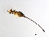  ( - HAR-SCA.1-HN-5)  @13 [ ] CreativeCommons - Attribution (2008) Unspecified Centre for Biodiversity Genomics