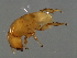  ( - HAR-M.1-HN-2)  @13 [ ] CreativeCommons - Attribution (2008) Unspecified Centre for Biodiversity Genomics