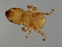  ( - HAR-M.1-HN-4)  @13 [ ] CreativeCommons - Attribution (2008) Unspecified Centre for Biodiversity Genomics