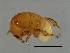  ( - HAR-M.1-HN-5)  @13 [ ] CreativeCommons - Attribution (2008) Unspecified Centre for Biodiversity Genomics