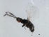  ( - TIN-LIP.GIB-HN-4)  @11 [ ] CreativeCommons - Attribution (2008) Unspecified Centre for Biodiversity Genomics