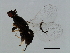  ( - TIN-LIP.GIB-HN-5)  @11 [ ] CreativeCommons - Attribution (2008) Unspecified Centre for Biodiversity Genomics