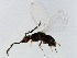  ( - TIN-LIP.GIB-HN-7)  @11 [ ] CreativeCommons - Attribution (2008) Unspecified Centre for Biodiversity Genomics