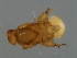  ( - TIN-M.0-HN-5)  @11 [ ] CreativeCommons - Attribution (2008) Unspecified Centre for Biodiversity Genomics