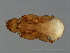  ( - TIN-M.0-HN-6)  @11 [ ] CreativeCommons - Attribution (2008) Unspecified Centre for Biodiversity Genomics