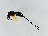  ( - TIN-PHI.JAC-HN-9)  @13 [ ] CreativeCommons - Attribution (2008) Unspecified Centre for Biodiversity Genomics