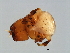  ( - TIN-PHI.M.1-HN-3)  @14 [ ] CreativeCommons - Attribution (2008) Unspecified Centre for Biodiversity Genomics