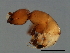  ( - TIN-PHI.M.1-HN-5)  @13 [ ] CreativeCommons - Attribution (2008) Unspecified Centre for Biodiversity Genomics