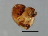  ( - TIN-PHI.M.1-HN-8)  @13 [ ] CreativeCommons - Attribution (2008) Unspecified Centre for Biodiversity Genomics