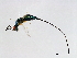  ( - TIN-SCA.NAY-HN-1)  @14 [ ] CreativeCommons - Attribution (2008) Unspecified Centre for Biodiversity Genomics