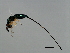  ( - TIN-SCA.NAY-HN-5)  @13 [ ] CreativeCommons - Attribution (2008) Unspecified Centre for Biodiversity Genomics