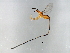  ( - HIRB-PHI.1-HN-8)  @13 [ ] CreativeCommons - Attribution (2008) Unspecified Centre for Biodiversity Genomics