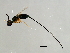  ( - HIR-SCA.1-HN-1)  @13 [ ] CreativeCommons - Attribution (2008) Unspecified Centre for Biodiversity Genomics
