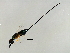  ( - HIR-SCA.1-HN-7)  @13 [ ] CreativeCommons - Attribution (2008) Unspecified Centre for Biodiversity Genomics
