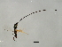  ( - HIR-SCA.2-HN-3)  @13 [ ] CreativeCommons - Attribution (2008) Unspecified Centre for Biodiversity Genomics