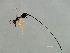  ( - HIR-SCA.2-HN-5)  @13 [ ] CreativeCommons - Attribution (2008) Unspecified Centre for Biodiversity Genomics